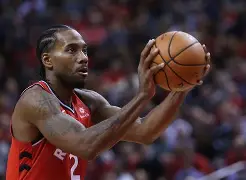 多米娱乐-森林狼 kg